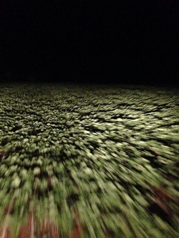 gavin howley tweet media