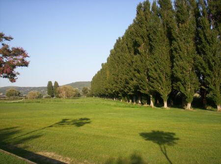 CEA Isola Polvese tweet media