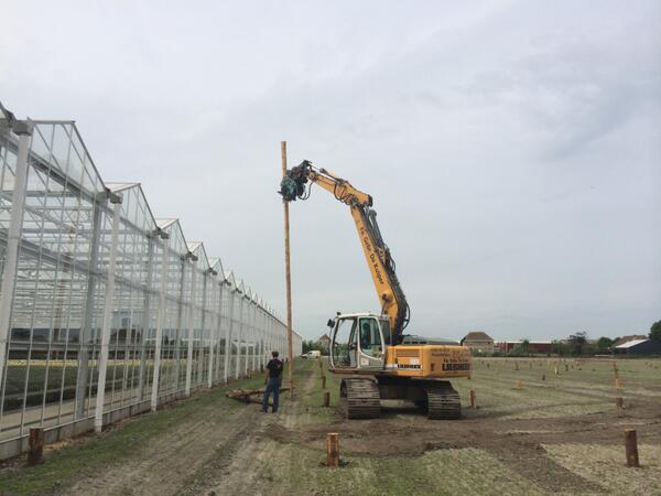 SenZaro ‘THE BLOOMING COMPANY’ tweet media