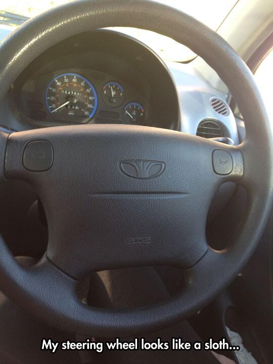 '@MensHumor: My steering wheel looks like a sloth. ' @willgundy my god