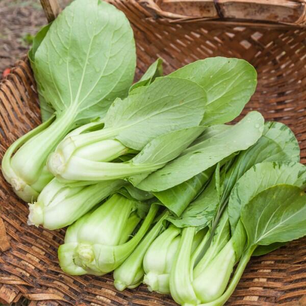 10 super-greens to add to smoothies &amp; juices. Kale's trendy but try bok choi &amp; dandelion leaf! goo.gl/OLYqOh