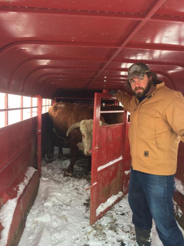 caseyphillips's tweet photo. Dangerous Bearding #BeardsinNature #80B #BeardsvsHorns http://t.co/8h48ylLIVs
