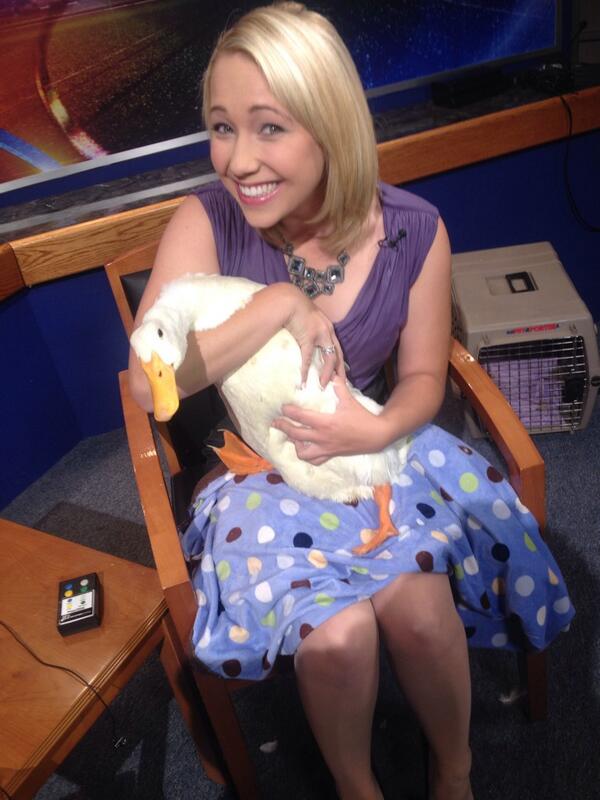 Tracy Hinson on Twitter: "Meet #KSBW pet of the weekend Tubby the duck! #Duck #tvalwx @SPCAmc http://t.co/Wa2I6yytDF"