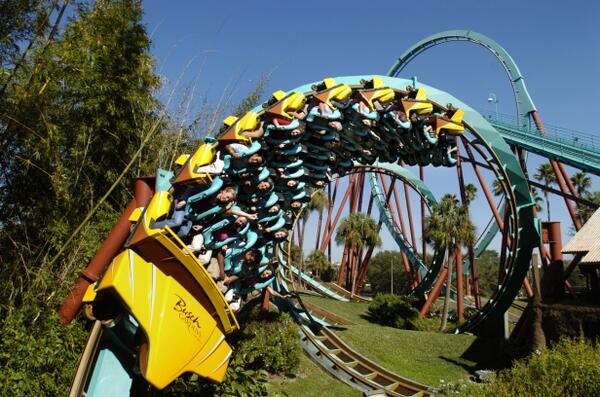 Busch Gardens Tampa Bay On Twitter Did You Know Kumba Means