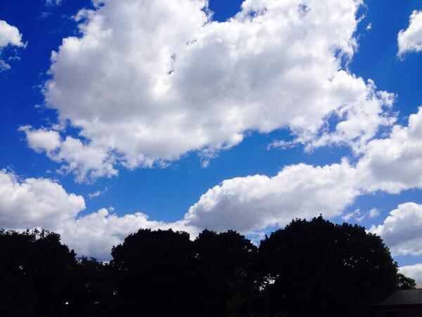 DaveCreate's tweet image. Couldn't ask for a more beautiful day in the square for opening weekend. #harvardsummer14