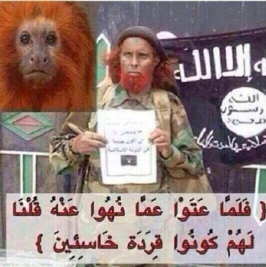 قناص בטוויטר Alim97979 بسم الله فلما عتوا عما نهوا عنه ق لنا لهم كونوا قـ ردة خاسئين Http T Co Vv1v9kaoex