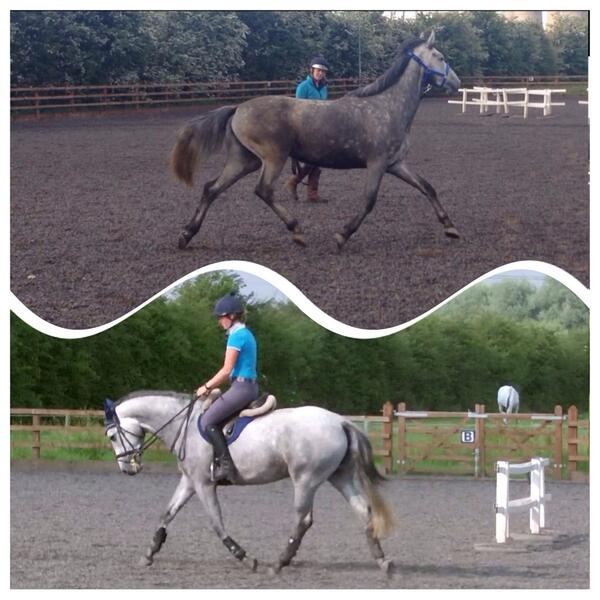 kirstyhen's tweet image. Another one... Day she arrived to now, 6 weeks. But why does she have to be getting so light so quick!? #greyproblems