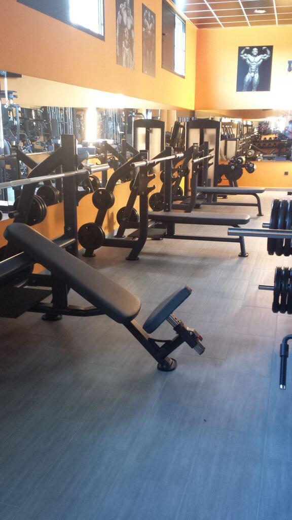 iron gym gimnasio