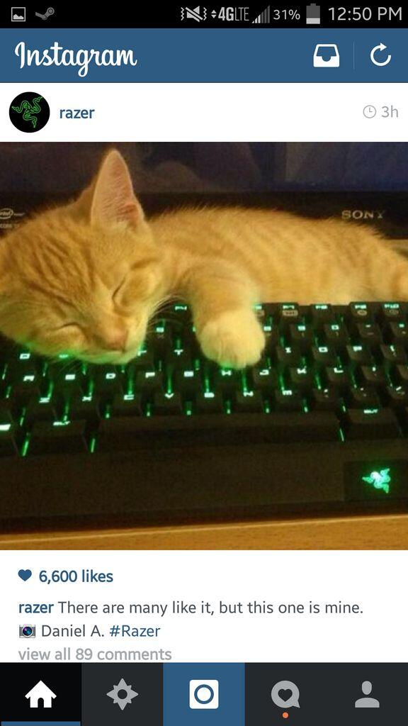 TheSpectreGames's tweet image. This is literally the greatest thing ever.