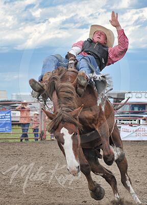 ryderwriter's tweet image. #Americana #wingrodeo #cowboys start summer on broncs bit.ly/1yBj7lh