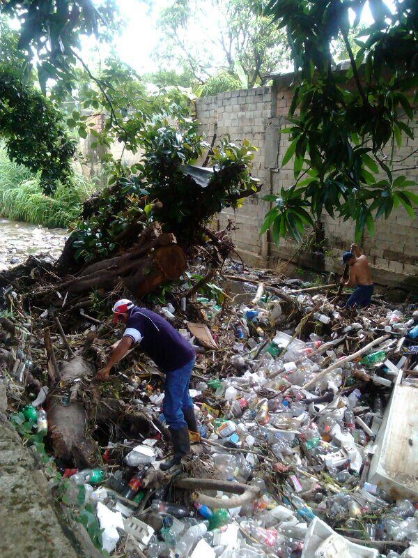 AlcDeGirardot's tweet photo. FOTOS | Trabajo de poda y limpieza en el río de Puerto Escondido, Choroní. http://t.co/6yGZaALF3q