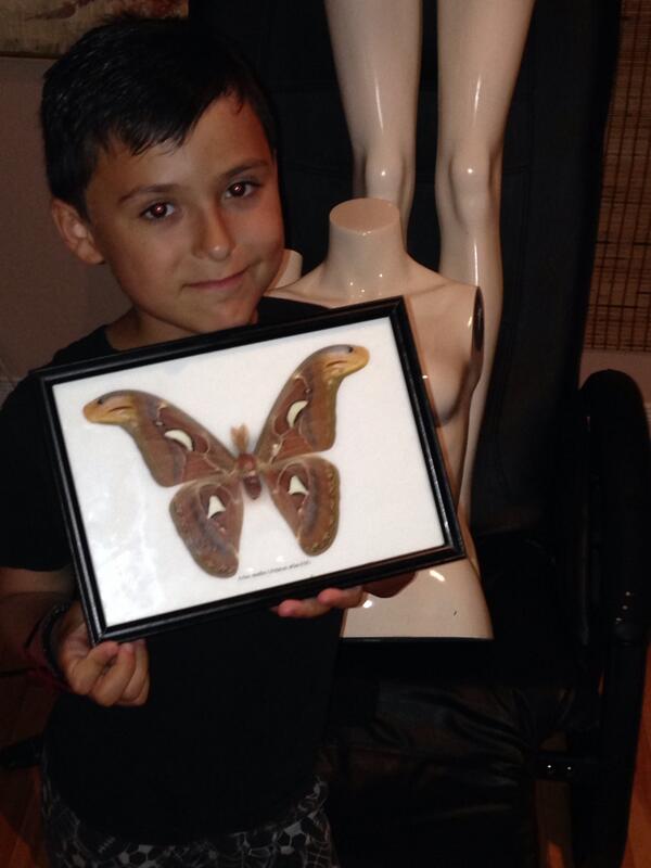 Great meal at Bremner last night albacore tuna oysters crab and amazing bread sticks