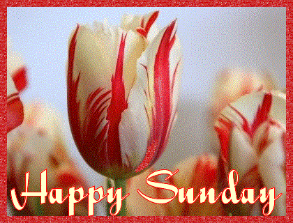 Firefly Furnishings (@fireflykids5280) on Twitter photo 