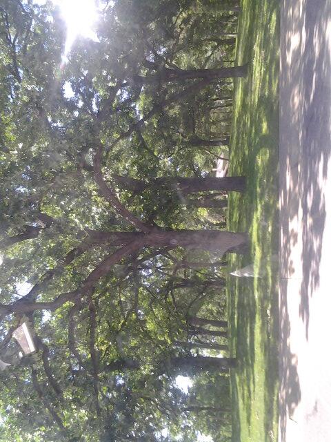 jumpy4lol tweet picture