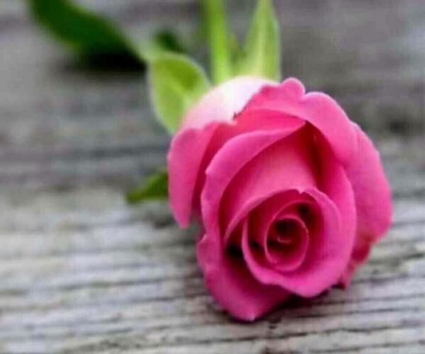 qweAS55847496's tweet photo. @jamanh36 http://t.co/WrLU3WtX65