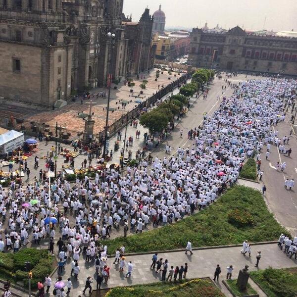 Claudia Arce (@charces22) on Twitter photo 