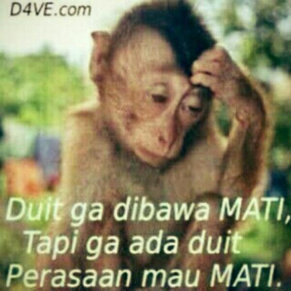 devitalverina's tweet photo. LOL "@pervertauditor: Gajian masih beberapa hari lagi. http://t.co/k2RMdLOj1G"