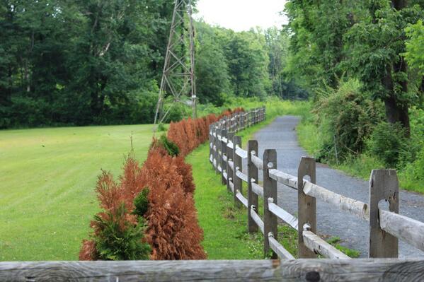mostlysun's tweet image. #pictures #picturetime #funwithphotography @CanonUSAimaging #rebelt5i #outside #summertime #naturewalk #trail