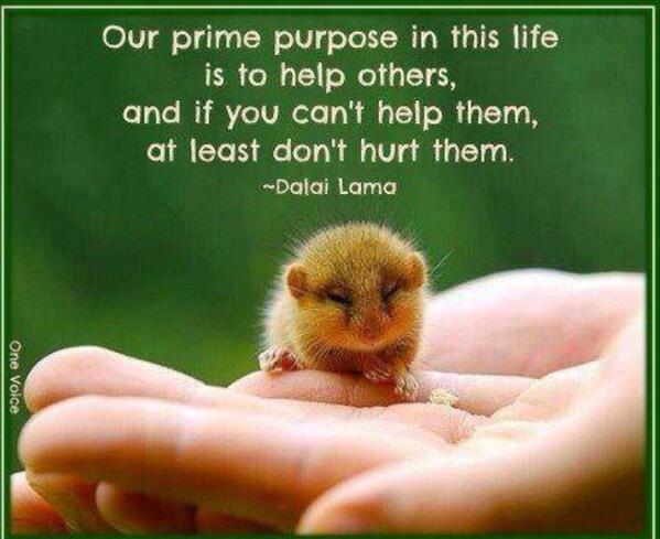 earearblog's tweet image. Our primary purpose ! #BeBraveToday