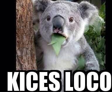 bebi_fernandez's tweet photo. Yo cuando dicen que hay un virus de barriga circulando. http://t.co/KLsRU51lfF