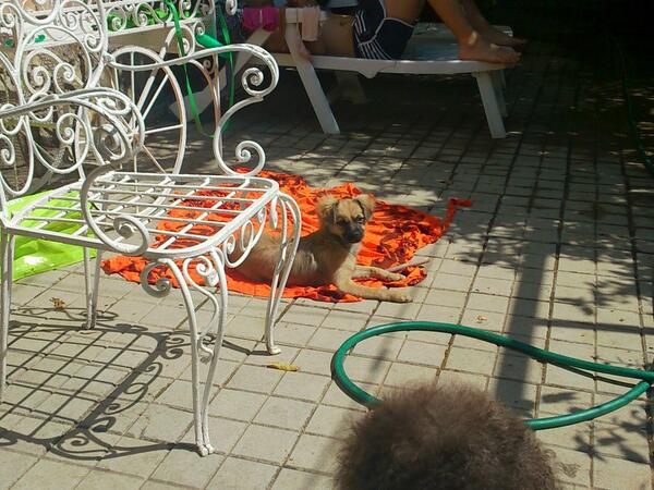 mluisafn's tweet photo. http://t.co/HqEEtbT2AC
