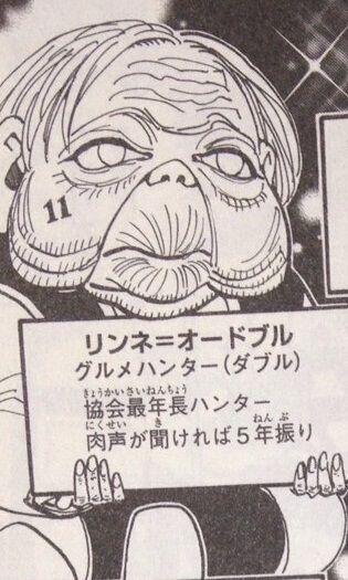 ハンターハンター サンビカ ノートンのゴンの母親説を考察 候補者や声優も紹介 3ページ目 Selvy