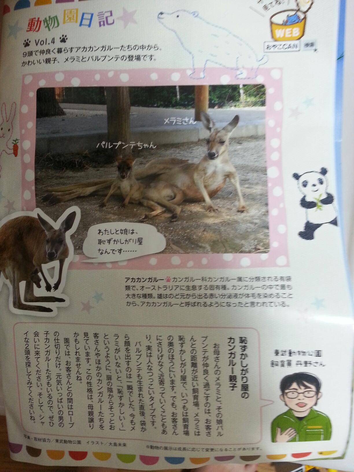 Saba メラミはともかくパルプンテを呼ぶときは勇気がいるな 調べてみたらベギラマやホイミもいるんだな 東武動物公園さんにはmp高い魔法使い様がいらっしゃるのであろう Http T Co Ruqsk1hu