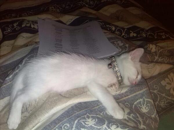 andreika_692's tweet photo. Espero dormir como ella.. Jjj @GeMiKa159 nanit y forsa tu pots!😘 http://t.co/9L6bKlKWk6