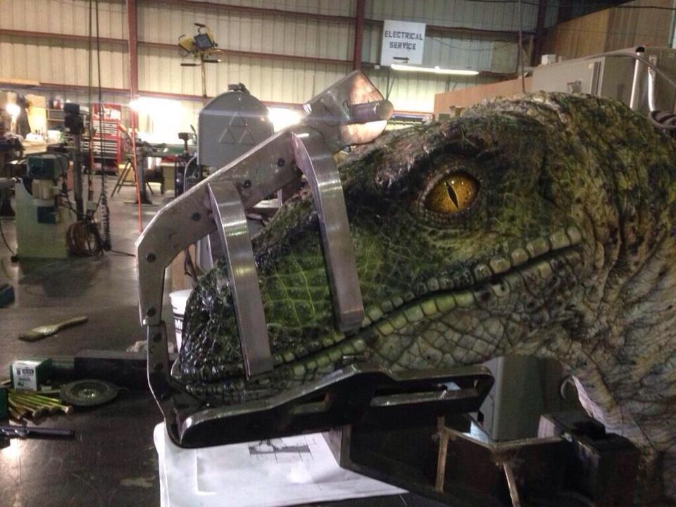 Br-AG7qCUAEcnNp.jpg:large