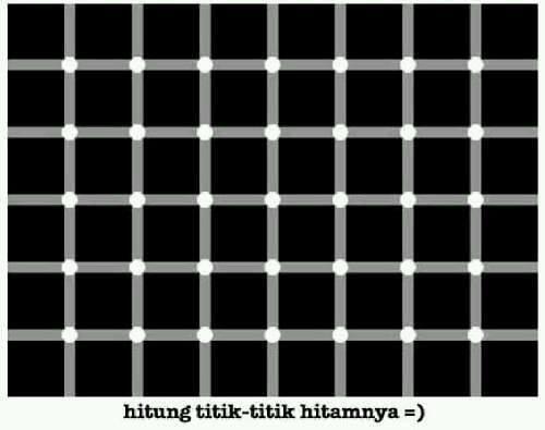 iisfrenks's tweet image. Test mata.. coba di hitung berapa titik hitam nya??
 jgn lupa share yaa buat yg bisa jawab http://t.co/P3ETQzDtGq