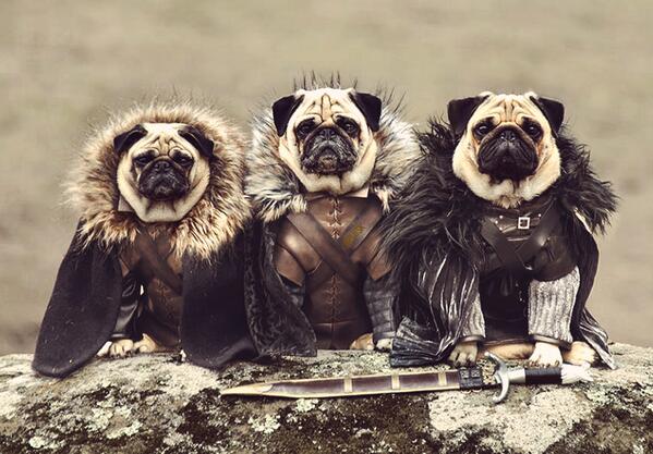 aplusk's tweet image. Game of Bones