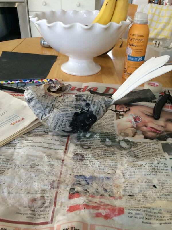 Simone_Artista's tweet photo. Beni's reattachment surgery was a success! Looking a little more like a bird (?) lol #ExtremeMakeoverBirdEdition http://t.co/X8d7ltOtdZ
