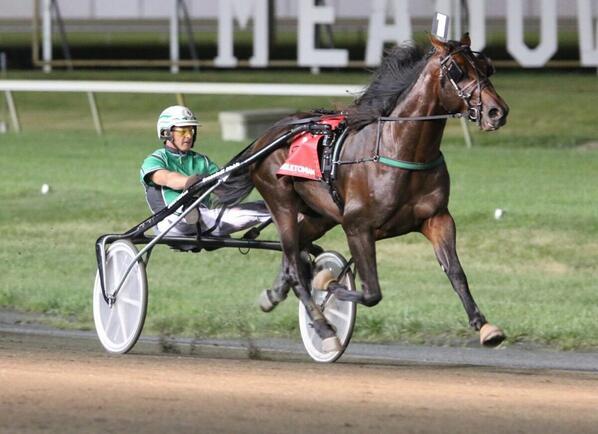 USTrotting's tweet photo. Your So Vain takes the #hambomaturity for @USASvans #HarnessRacing http://t.co/24f5BTv7yC