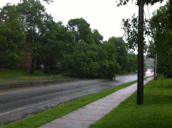 Couple trees down by Moms house, welcome home to SJ LOL <a href="/Hewey23/">Hewey23</a> how's your house?