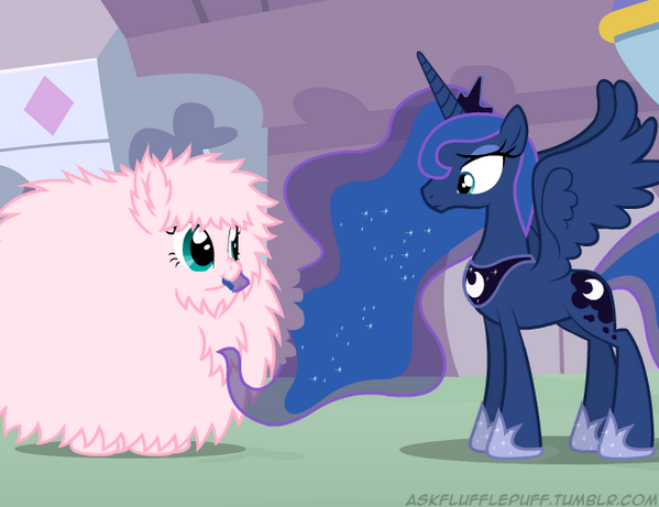 PakistanBall's tweet photo. Well, #fluffypuff was hungry, that's why she ate your hair. :P #mlp #brony. http://t.co/GowRi0AOOc