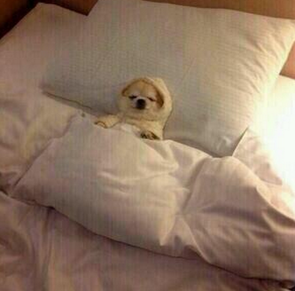 introvertsmemes's tweet photo. current mood http://t.co/WZHClcDqe5