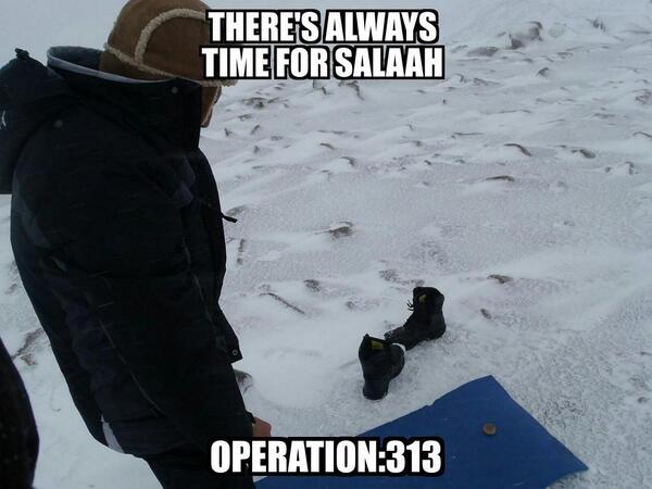 313operation tweet picture