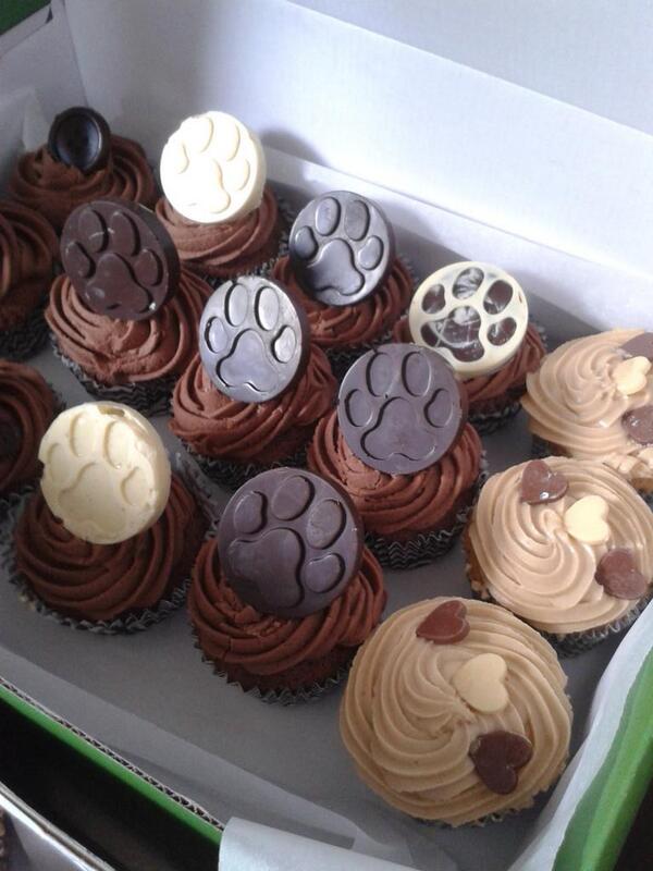 Sarah Cooper On Twitter The Finished Cakes For Rspca