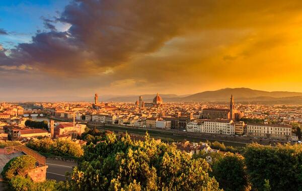 triptern tweet media