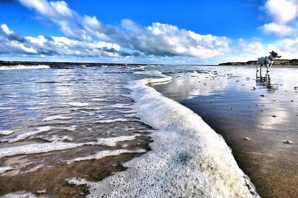 Formby beach named number one in list of top European picnic spots: bit.ly/1rD7uIE <a href="/FormbyVillage/">Sean Brady</a>