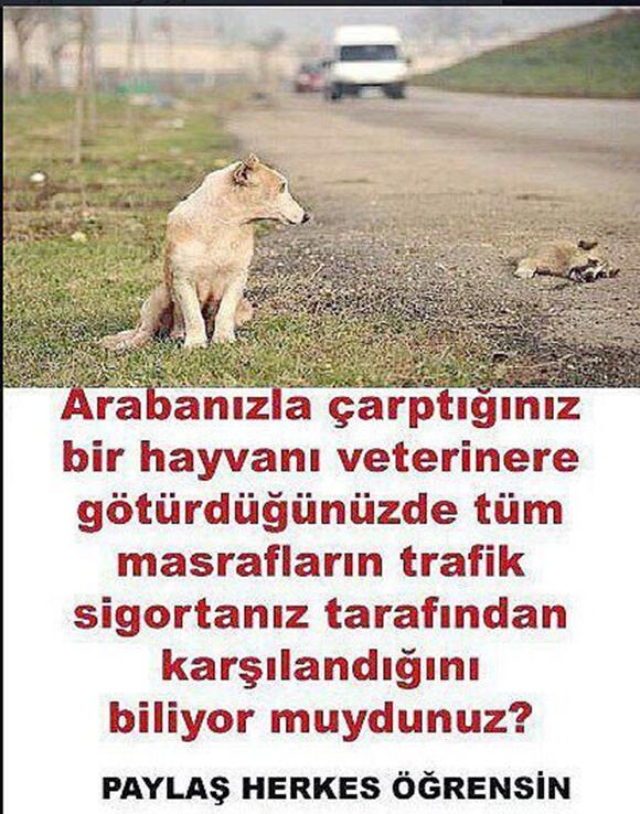 HergunYeniBilg's tweet photo. http://t.co/ofRbup52cy