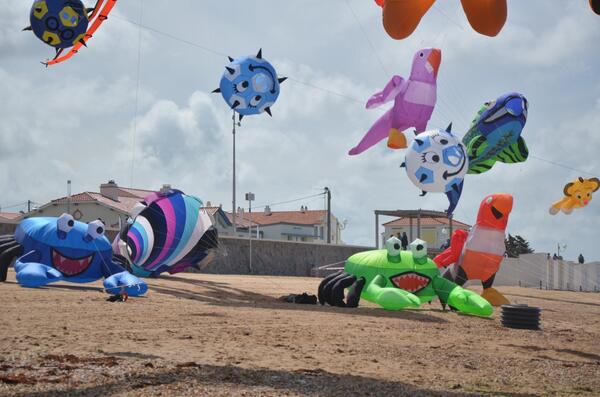 festatoutvent's tweet photo. A tout vent, jour 3 : avec le soleil #atv2014 http://t.co/Av6GbxrRVJ