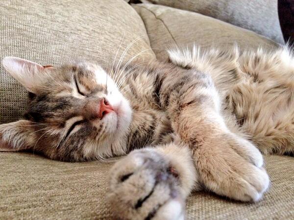 eva2206's tweet photo. Mira que bebe más precioso te esta esperando @Emmagd_ 😍🙈🙊 http://t.co/GEDHKr5jCN
