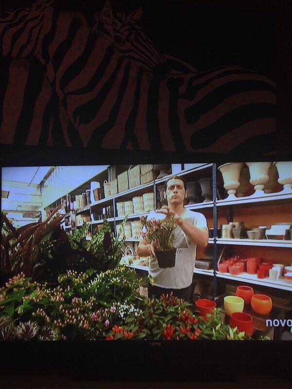 Nuevo briconsejo en decogarden amigos....