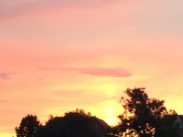 AVOND ROOD
