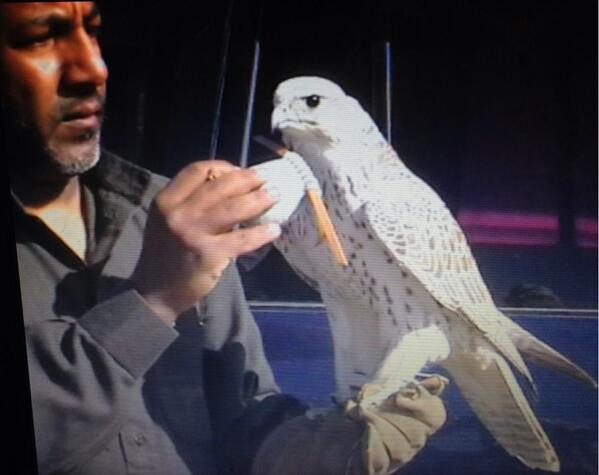 طرح منغوليه ٢٠٠٩
جرناس بكر ١٨
المالك بدر راشد المنصوري