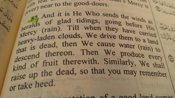 EcoQuraan's tweet image. #ecoMetaphor #ecoCreator #ecoProcess
#AlAraf #Ch7 #greenaayaat #quraan