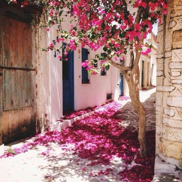 Seferhisar, Izmir.