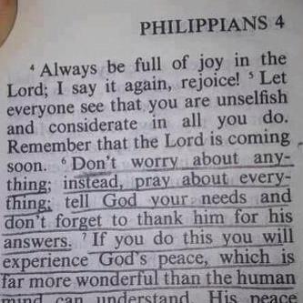 G_Theron's tweet photo. Dont worry about anything...

Hakuna-Matata worshipping http://t.co/q3jC8gMSlj