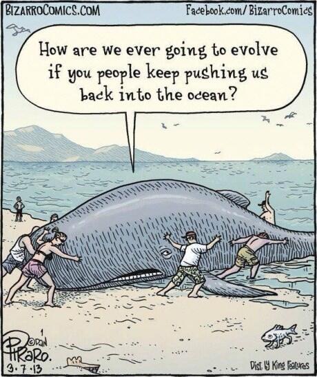 EvolutionGuide's tweet image. #SundayFunday evolution comic by Dan Piraro at bizarrocomics.com